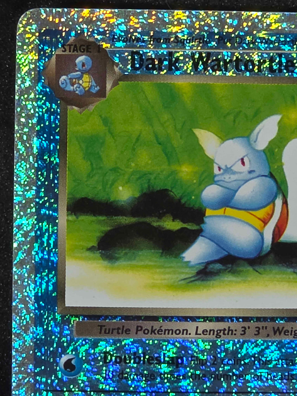 Dark Wartortle - Legendary Collection (LC)